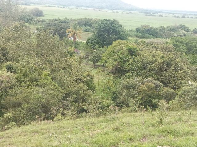 place photo 43