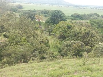place photo 43