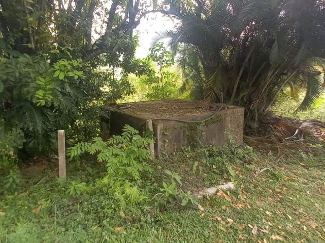 place photo 34