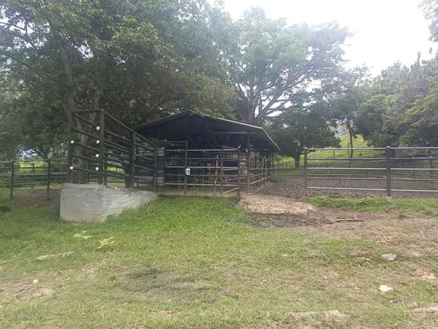 place photo 48