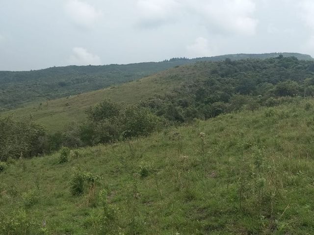 place photo 47