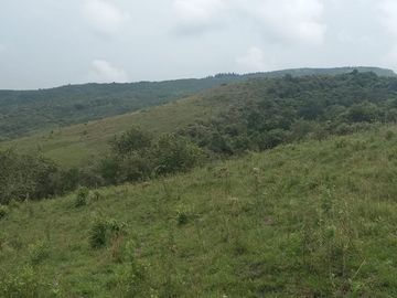 place photo 47