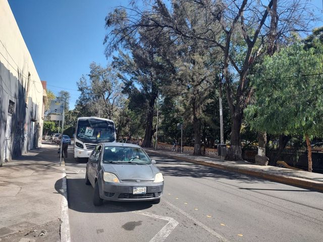 place photo 17