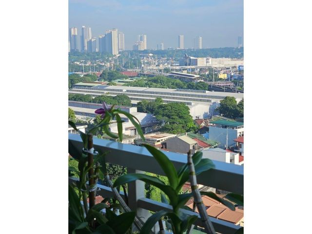 place photo 32