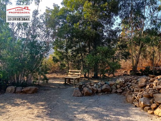 place photo 65