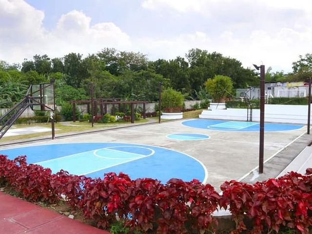 place photo 44
