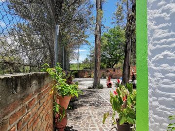 place photo 28