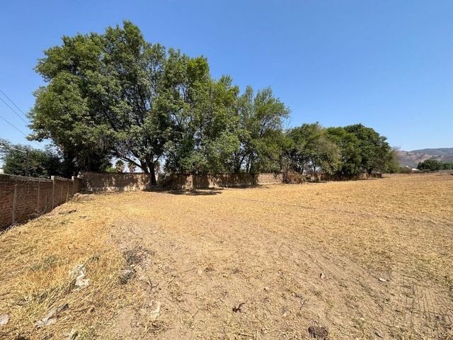 place photo 6