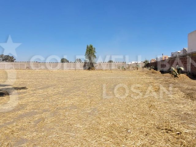 place photo 36