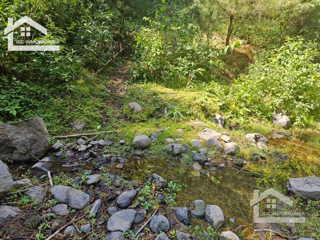 place photo 39