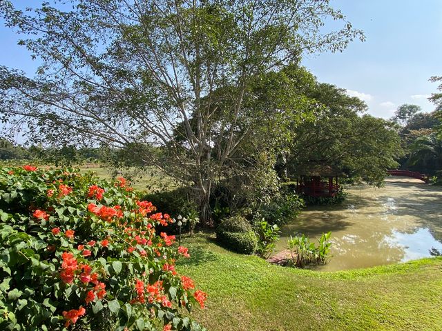 place photo 44