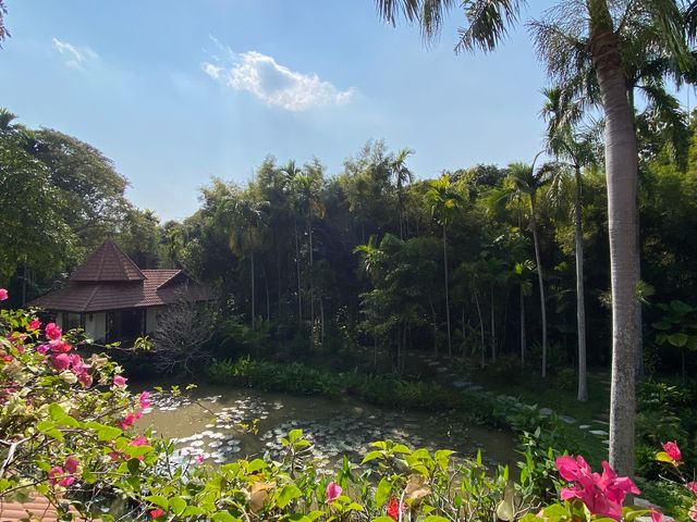 place photo 47