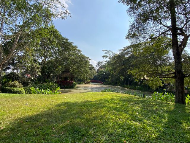 place photo 49
