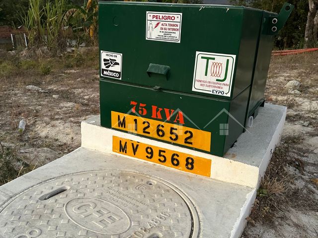 place photo 18