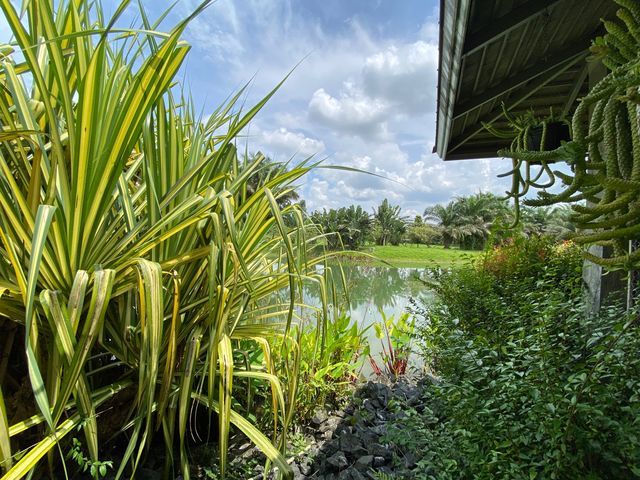 place photo 40