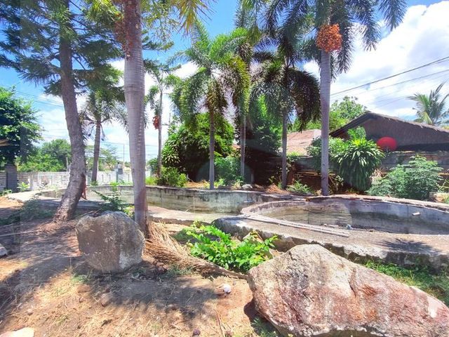 place photo 41