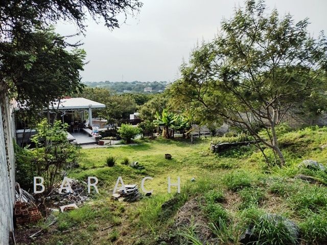place photo 20