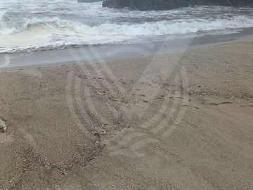 place photo 76