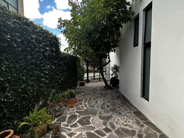 place photo 58