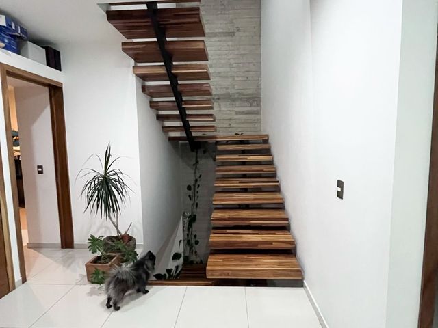 place photo 49