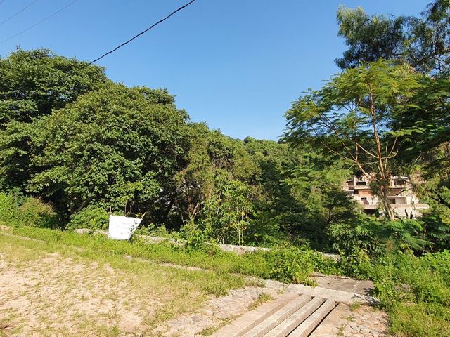 place photo 22