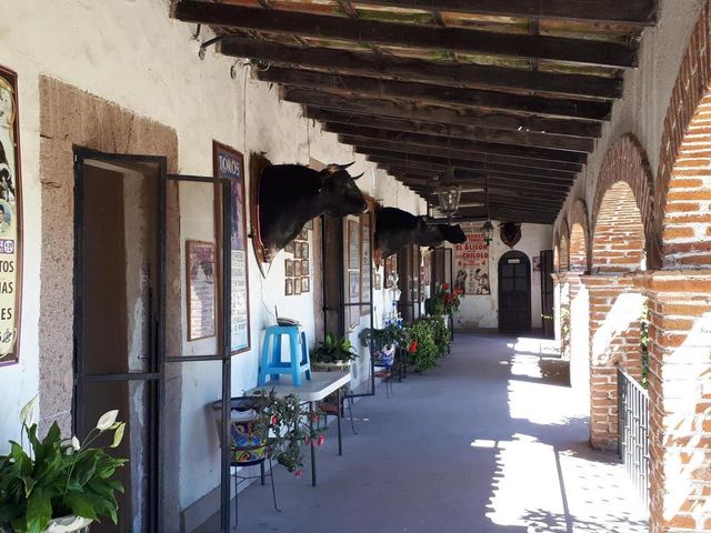 place photo 32