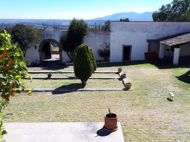 place photo 33