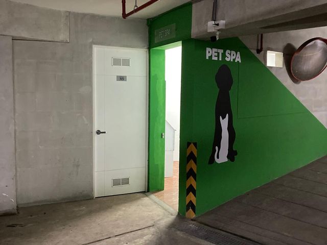 place photo 23