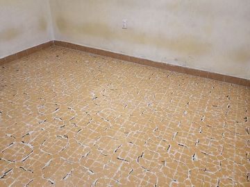 place photo 66