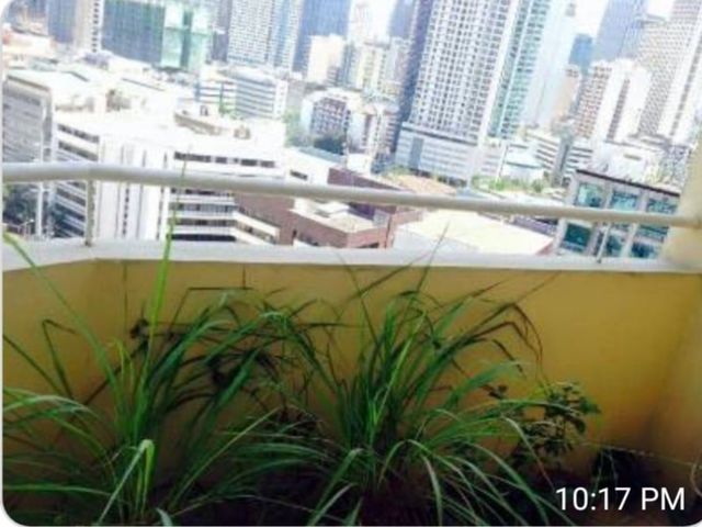 place photo 26
