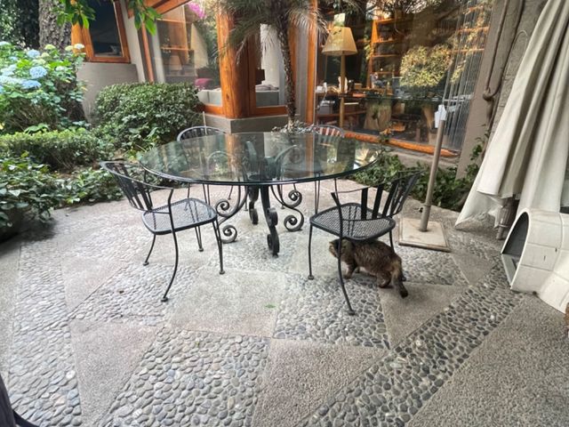 place photo 36