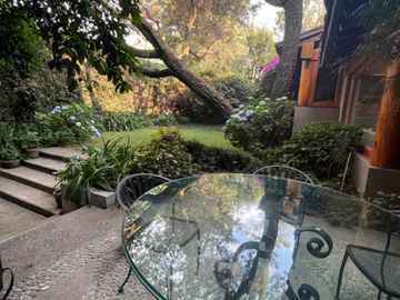 place photo 37