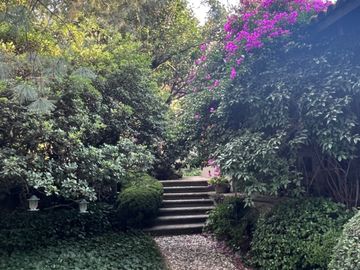 place photo 38