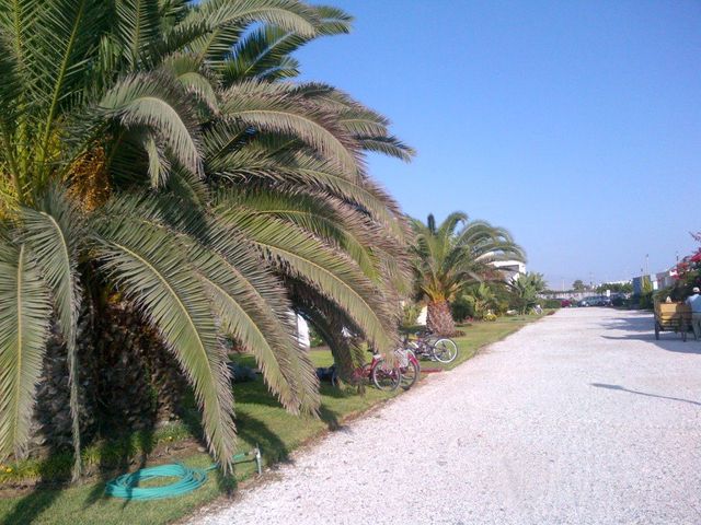 place photo 33