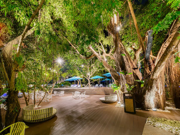 place photo 35