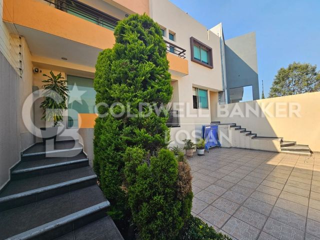 place photo 24