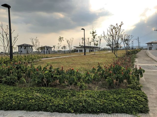 place photo 46