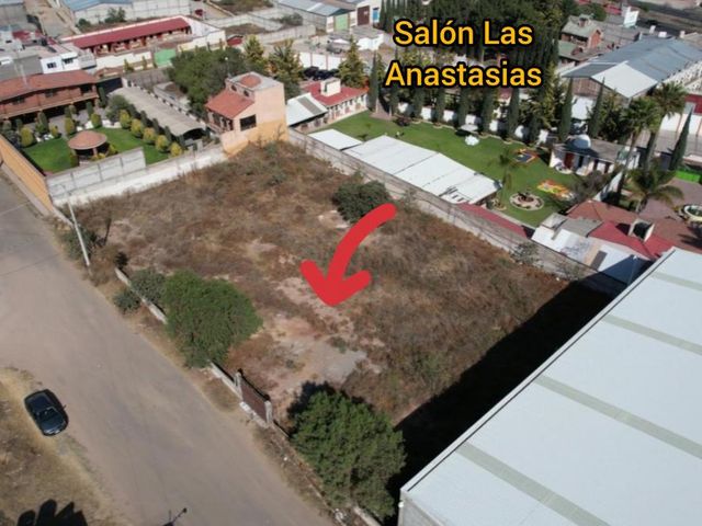 place photo 21