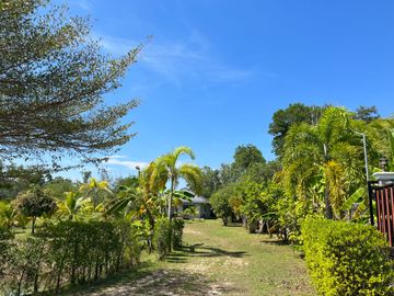 place photo 35
