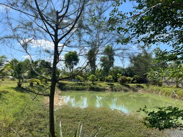 place photo 21