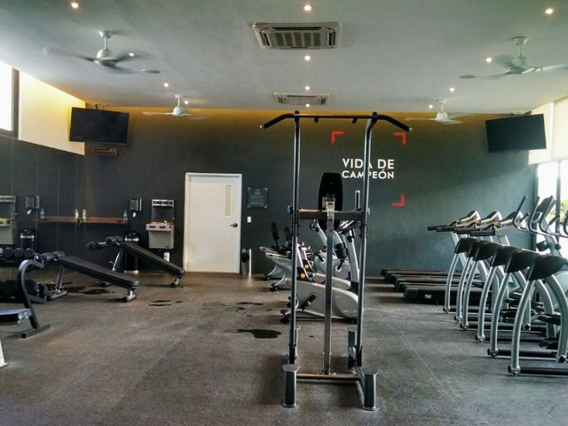 place photo 7