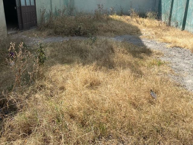 place photo 30