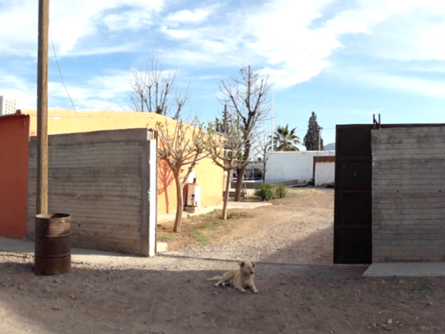 place photo 8