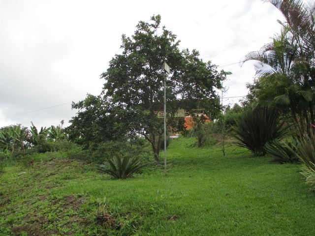 place photo 40