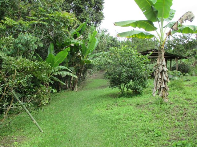 place photo 41