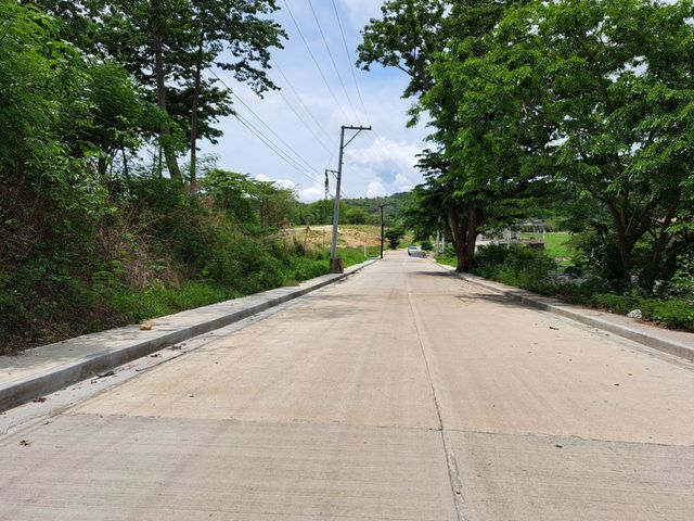 place photo 39
