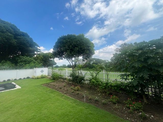 place photo 43