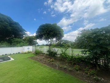 place photo 43