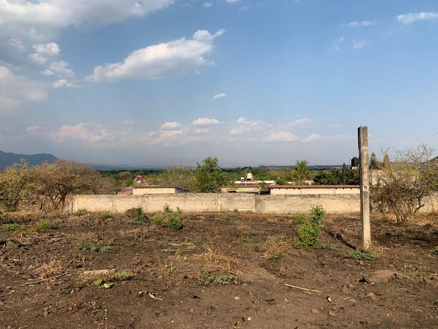 place photo 22