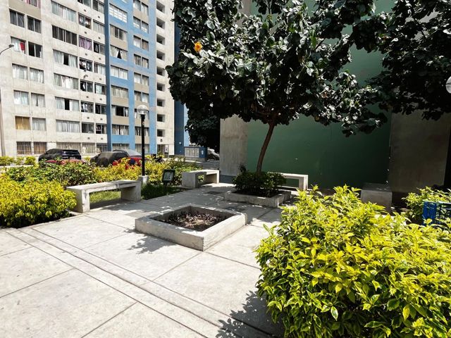 place photo 33
